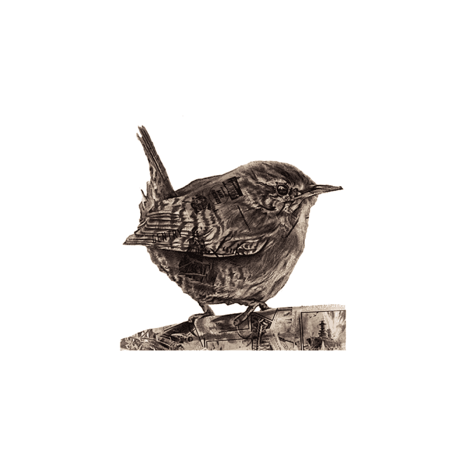 Chess Larks & Landed Gentry