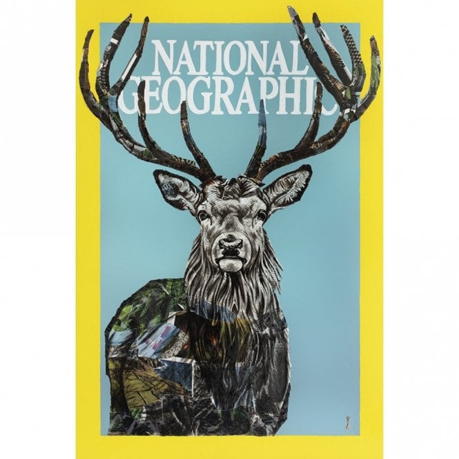 Chess National Geographic