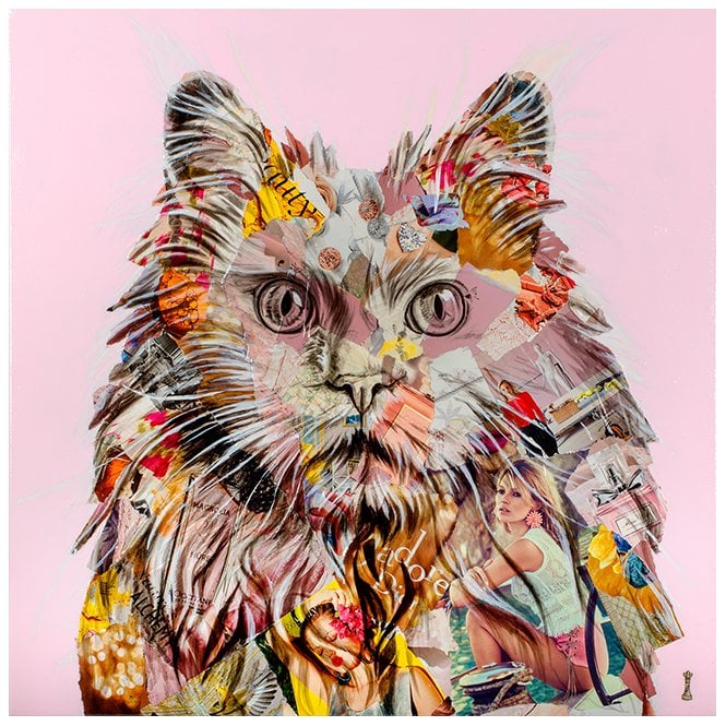 Chess Pampurred