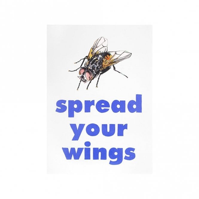 Chess Spread Your Wings