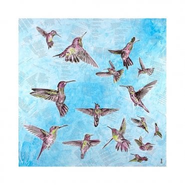 The Breeze - Hummingbirds