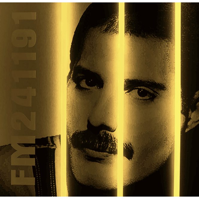 Courty Freddy Mercury