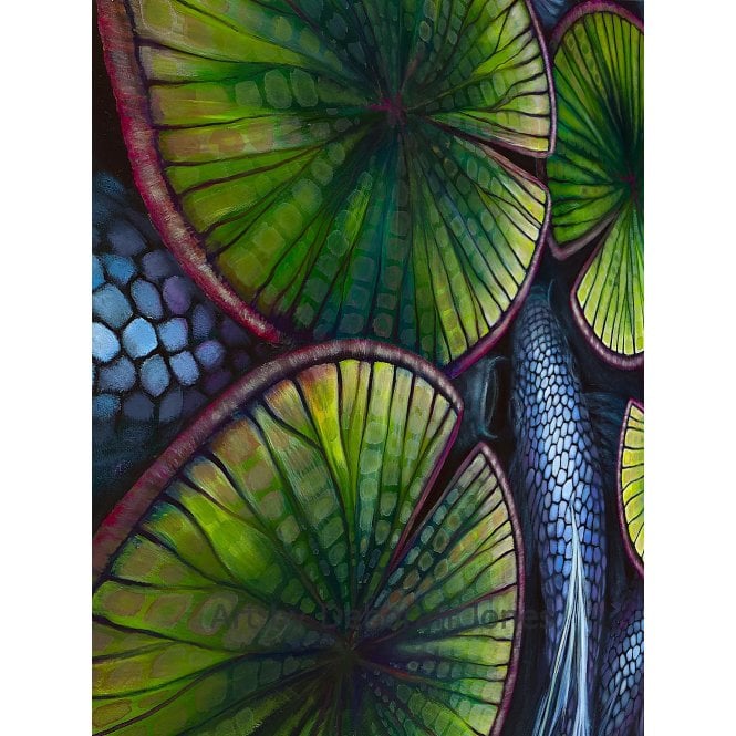 Deborah Jones Aurora (Frame 4)