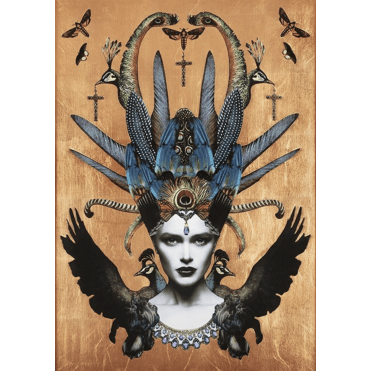 Siren's Odyssey