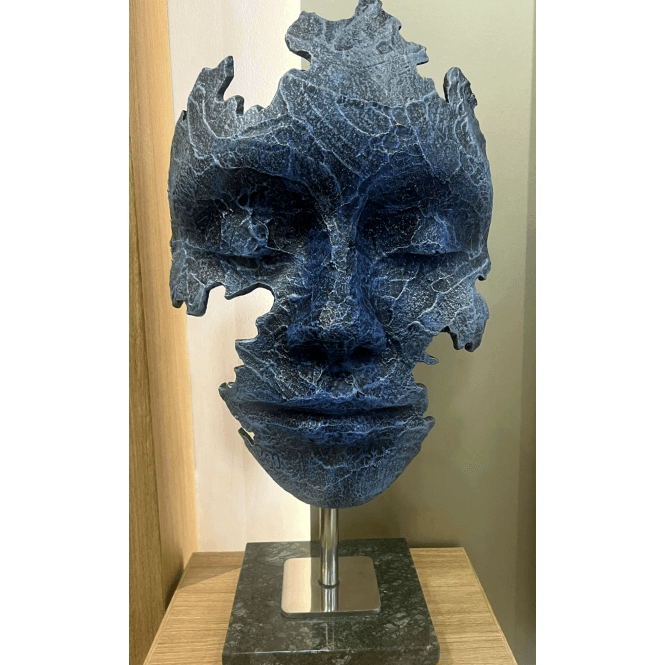 Marco Olivier VISION