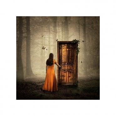 As One Door Shuts...