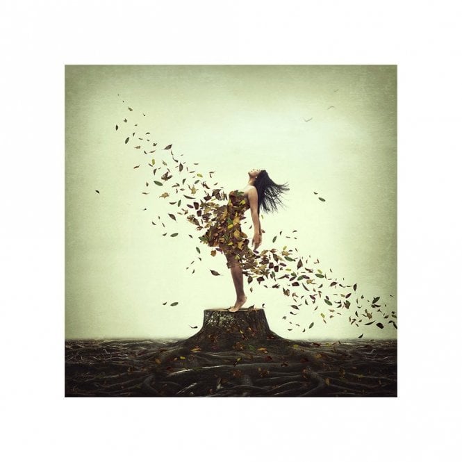 Michelle Mackie Everlasting Roots