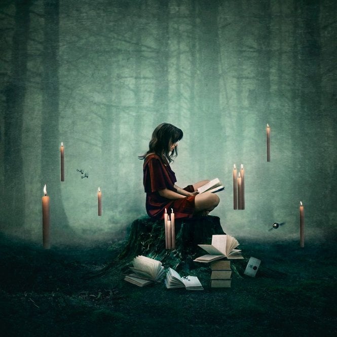 Michelle Mackie Forbidden Forest (Harry Potter)
