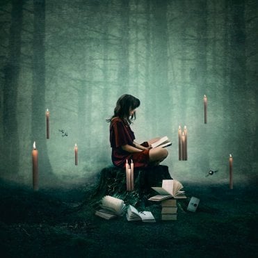 Forbidden Forest (Harry Potter)