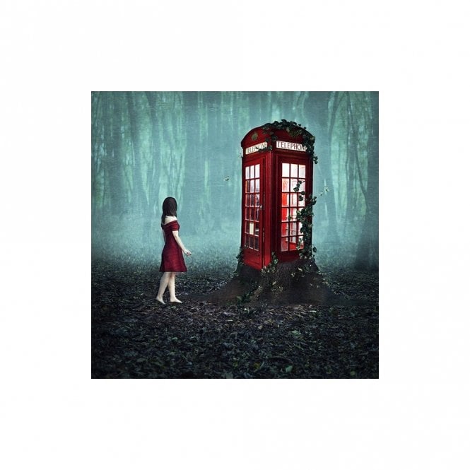 Michelle Mackie If You Go Down To The Woods Today