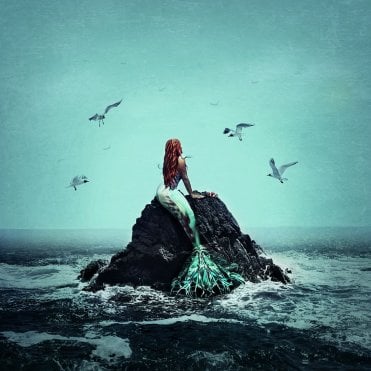 Staying Above Water (The Little Mermaid)