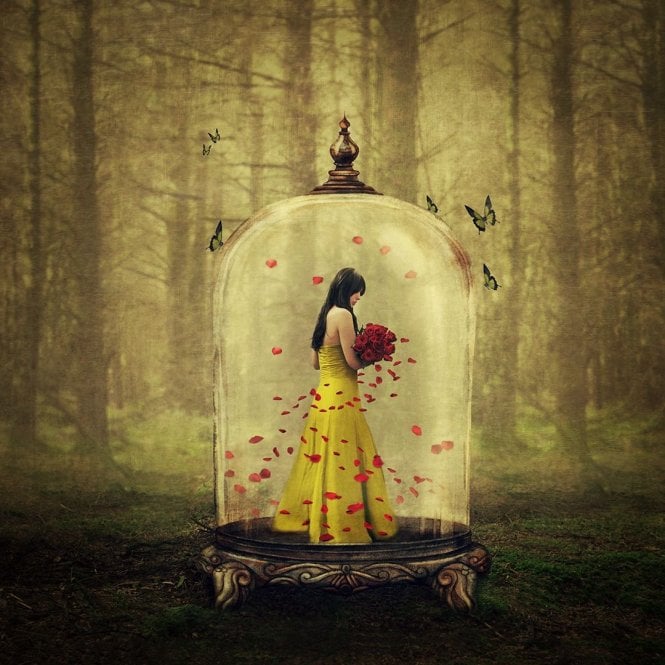 Michelle Mackie Until The Last Petal Falls (Beauty & The Beast)