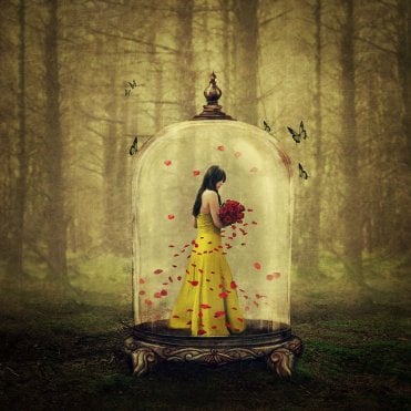 Until The Last Petal Falls (Beauty & The Beast)