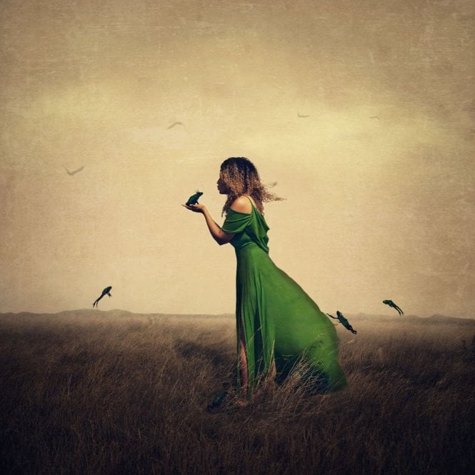 Michelle Mackie We All Need To Kiss A Few Frogs (Cinderella)