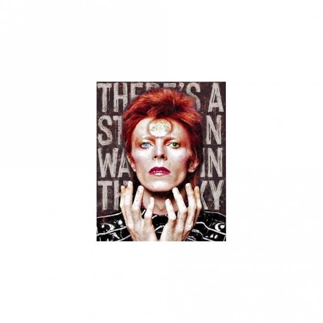 Monica Vincent Starman