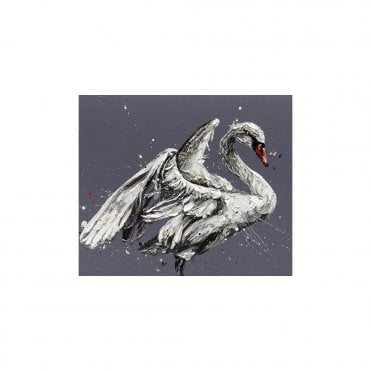 John The Swan