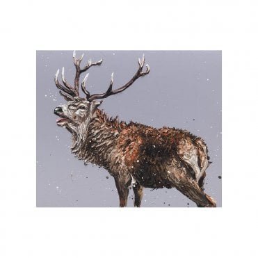 Monarch Of The Glen