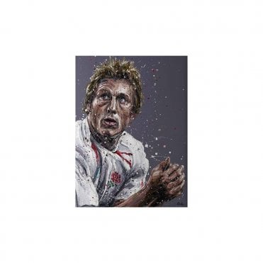 Wilko 17