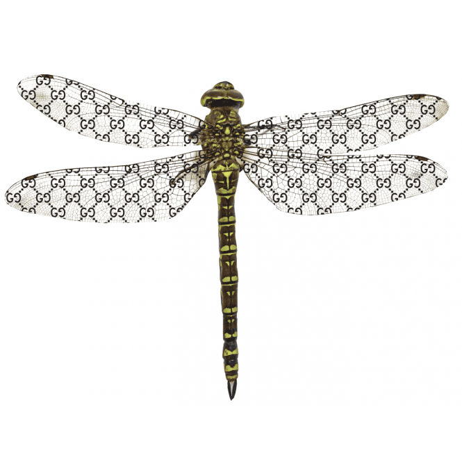 PoPsee Gucci Dragonfly
